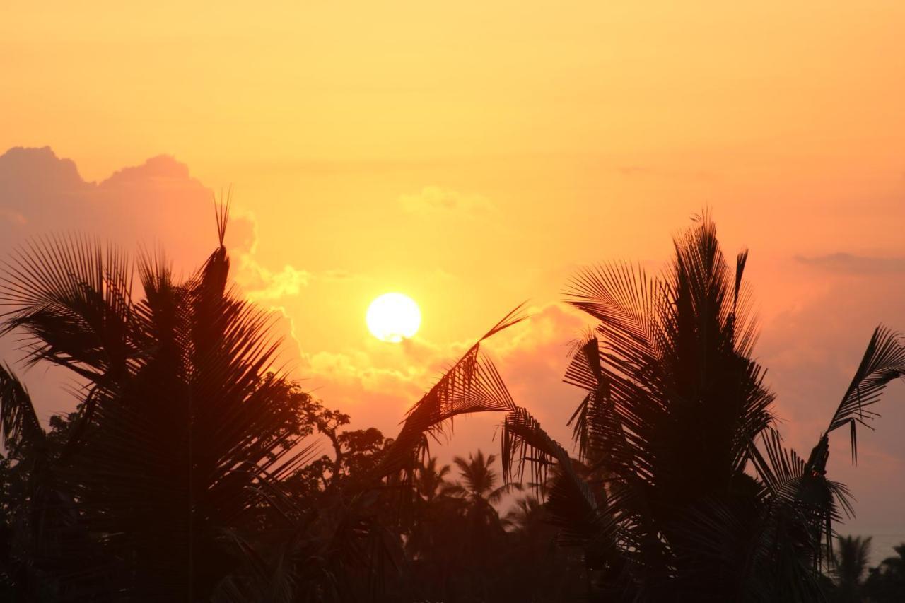 A Wonderful Beach Property In Diani Beach Kenya.A Dream Holiday Place. Момбаса Екстериор снимка